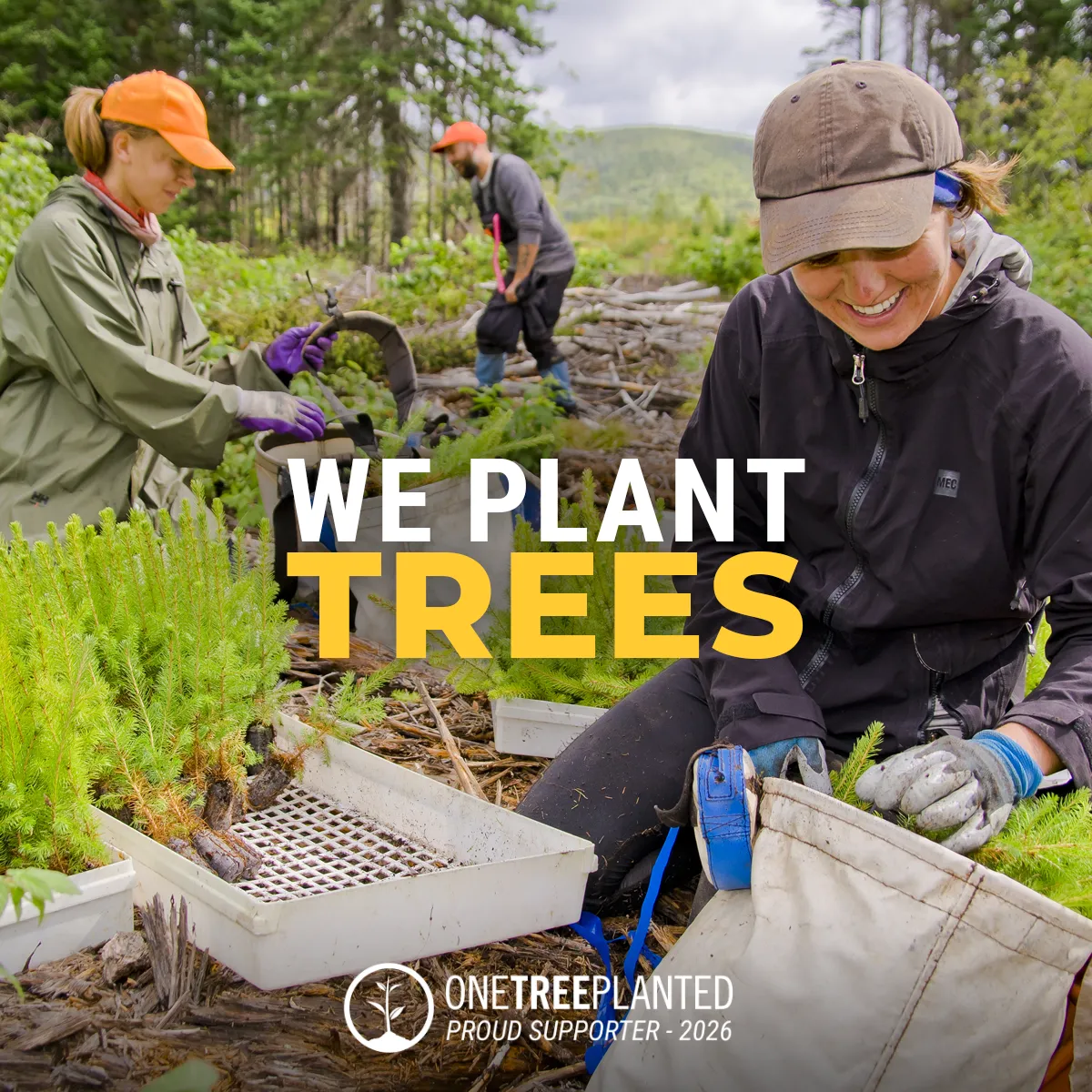 We plant trees: One Tree Planted volunteers smiling as they plant tree seedlings in a forest clearing